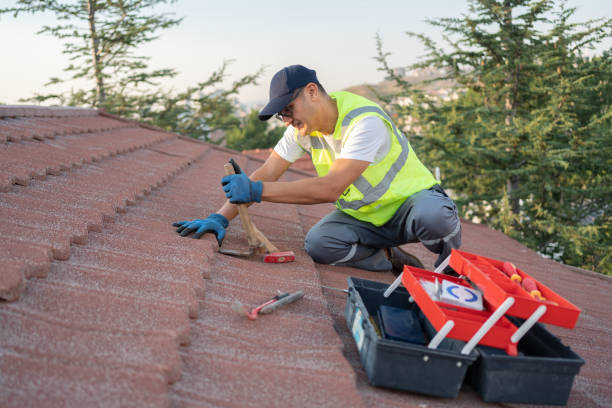 Roof Gutter Cleaning in La Luz, NM